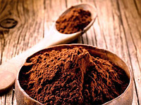 Какао-порошок Barry Callebaut алкализованный 22/24% 100г Франция
