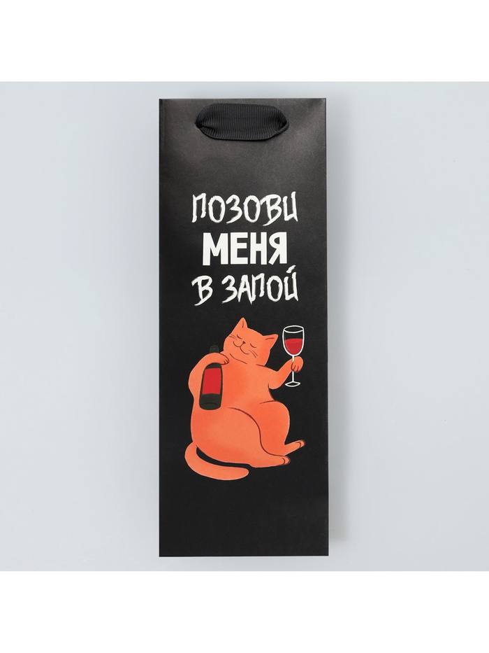 пакет подарочный "В запой" 9*25*8,9